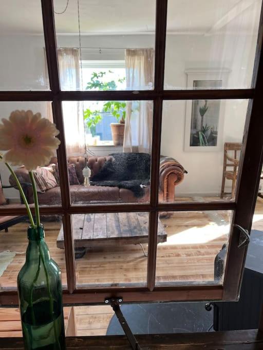 The Old Soap House - Stylish And Close To Beach Vang  Ngoại thất bức ảnh