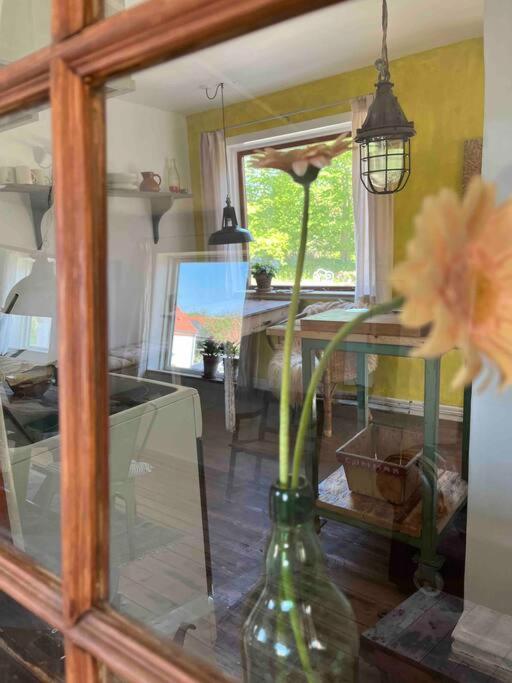 The Old Soap House - Stylish And Close To Beach Vang  Ngoại thất bức ảnh