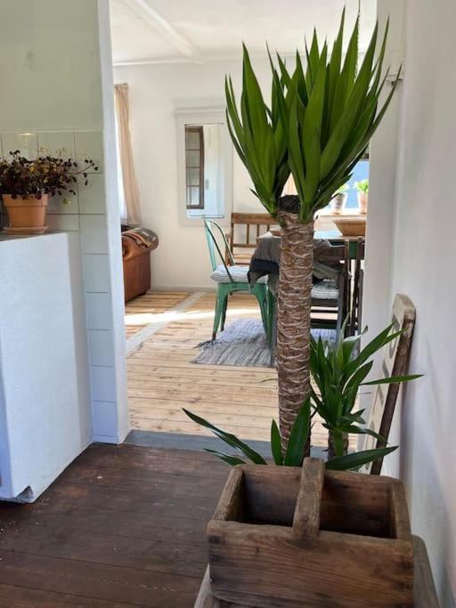 The Old Soap House - Stylish And Close To Beach Vang  Ngoại thất bức ảnh