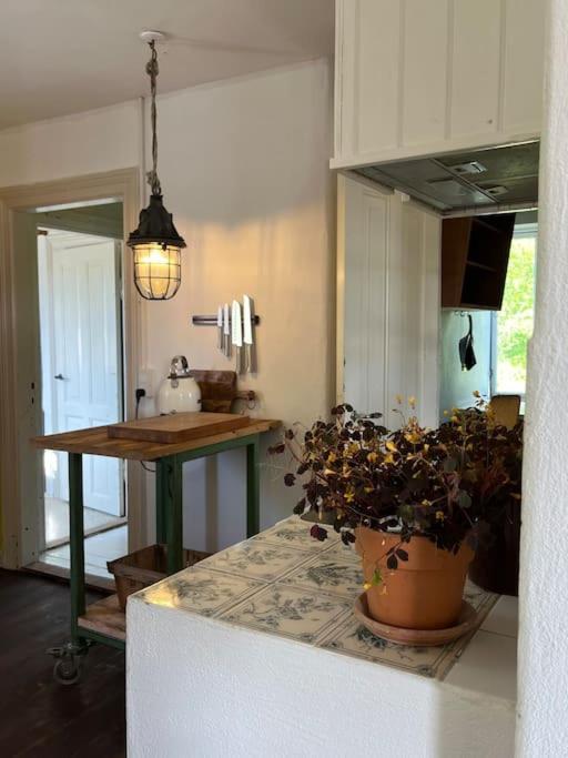 The Old Soap House - Stylish And Close To Beach Vang  Ngoại thất bức ảnh